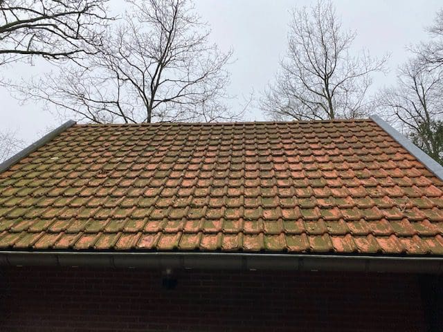 dakpannen-reinigen-1